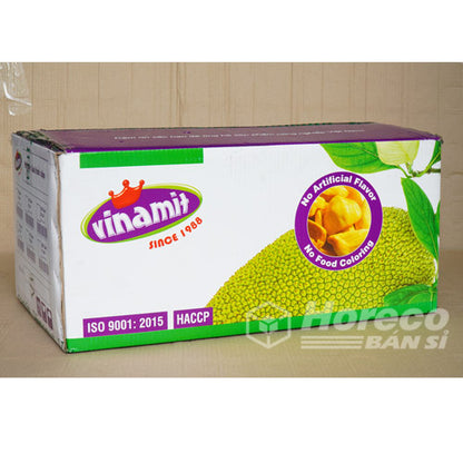 Vinamit 菠萝蜜干 100克