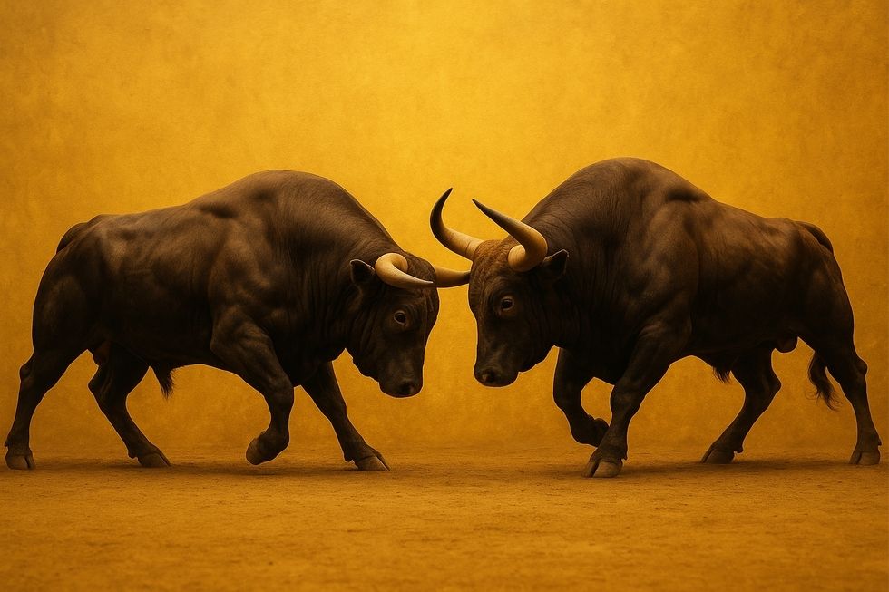 Hình ảnh hai con bò tót trên nền vàng đồng của sản phẩm Red Bull.